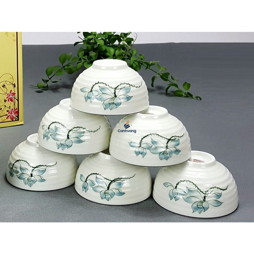 Bộ Bát Ăn Cơm Men Kem Hoa Sen Xanh Cao Cấp