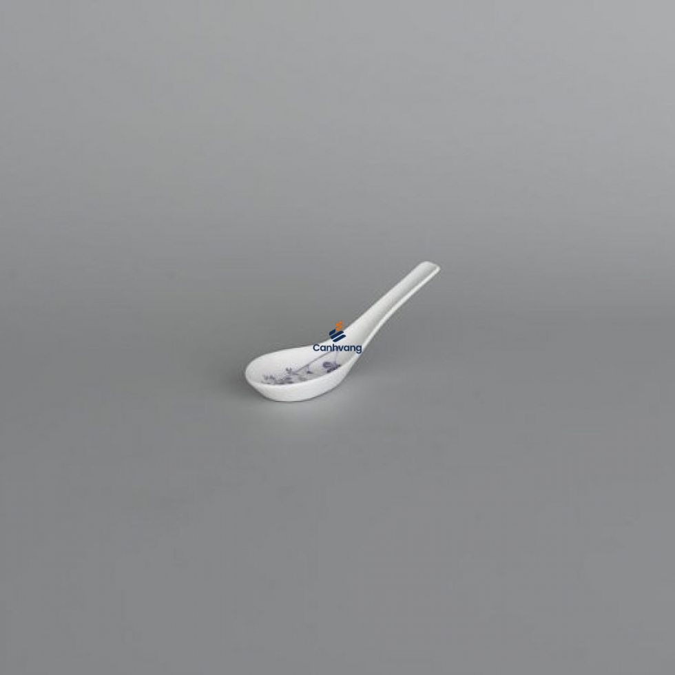 MUỖNG MINH LONG DAISY CỎ TÍM