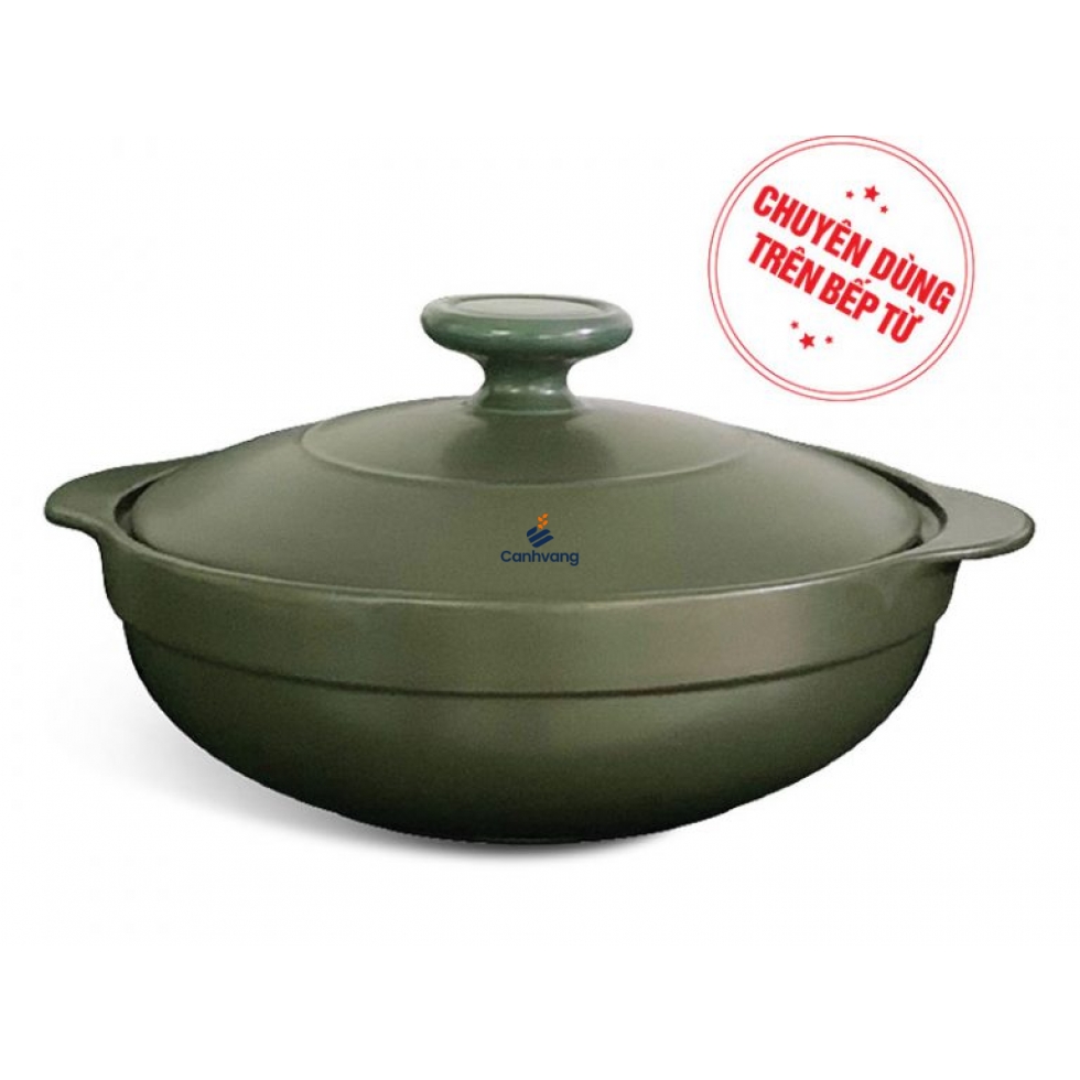Nồi dưỡng sinh hai quai 2.0L +nắp (bếp từ) – HealthyCook – Xanh rêu