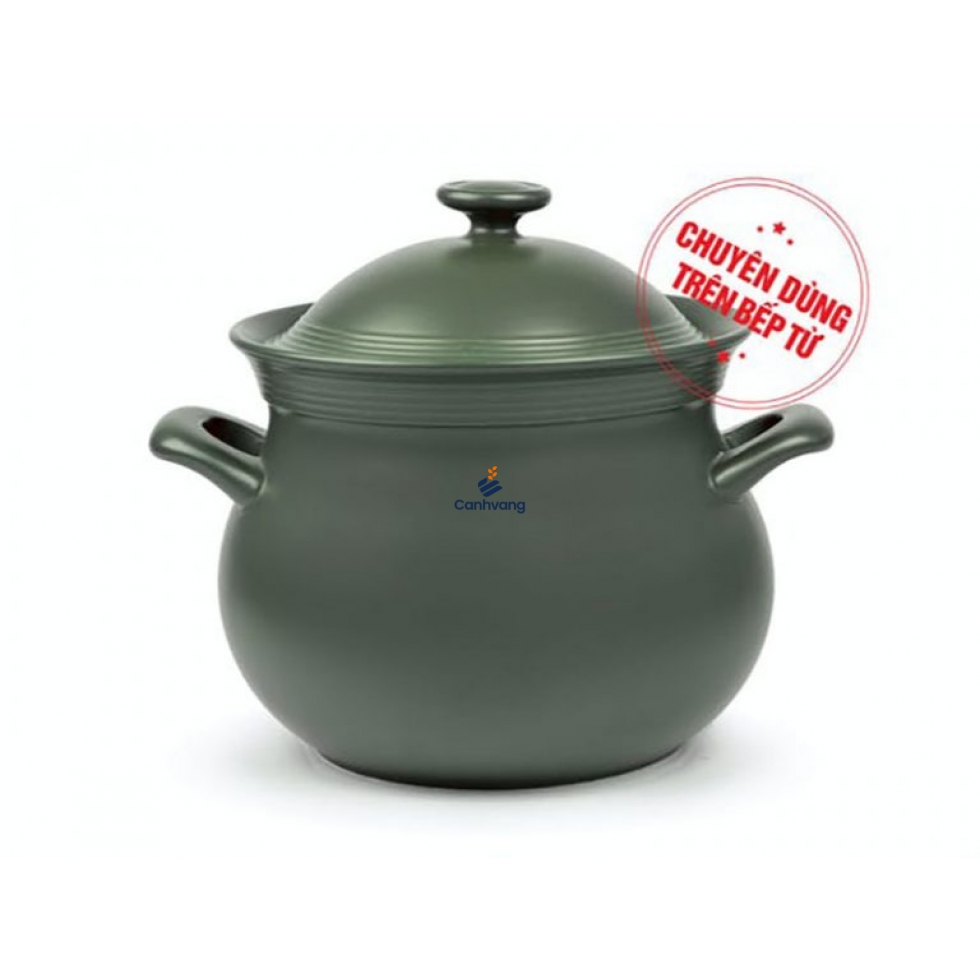 Nồi dưỡng sinh Hathor 7.1 L + nắp (bếp từ) – HealthyCook – Xanh rêu
