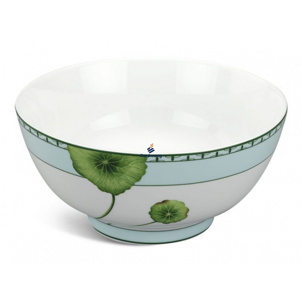 Tô Cao Minh Long Jasmine Tích Tuyết Thảo 20cm
