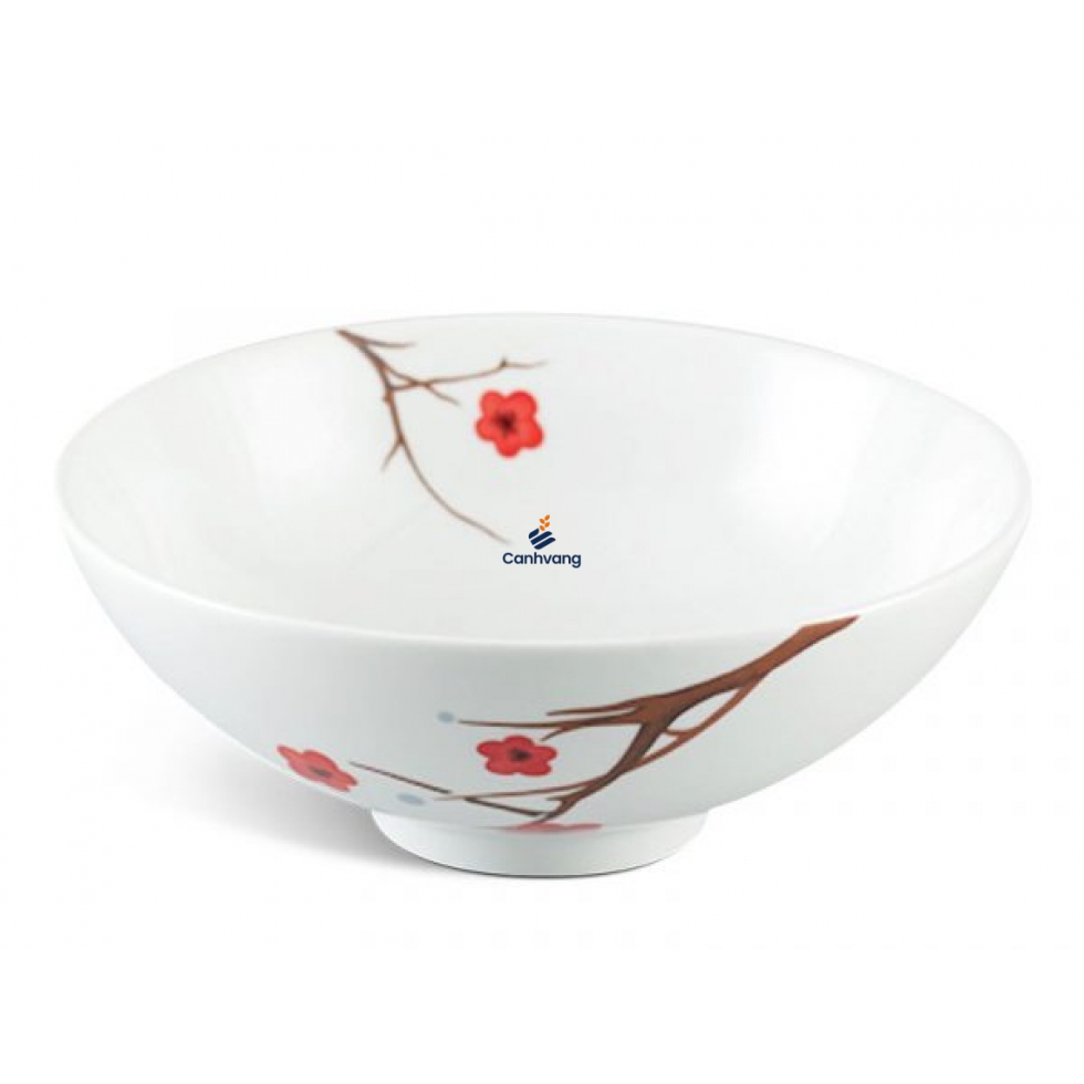 Tô trung 15 cm – Daisy – Hồng Mai