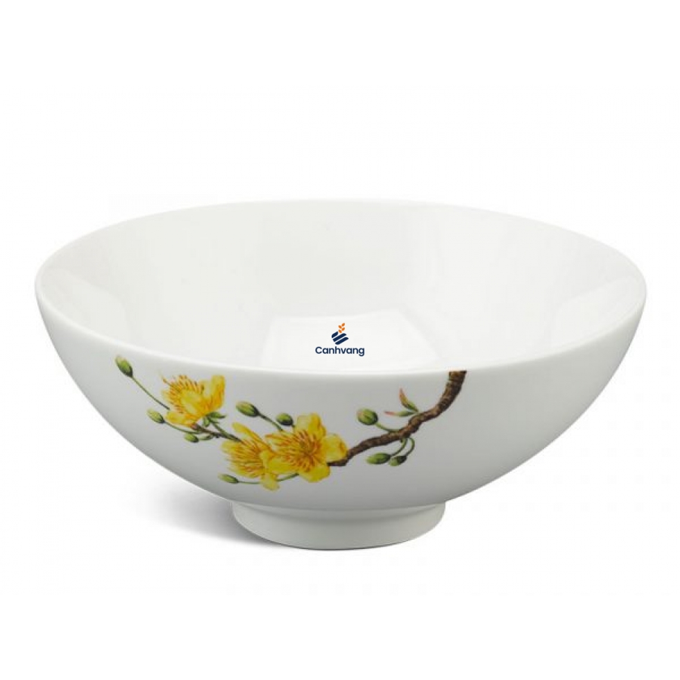 Tô trung 15 cm – Daisy IFP – Hoàng Mai