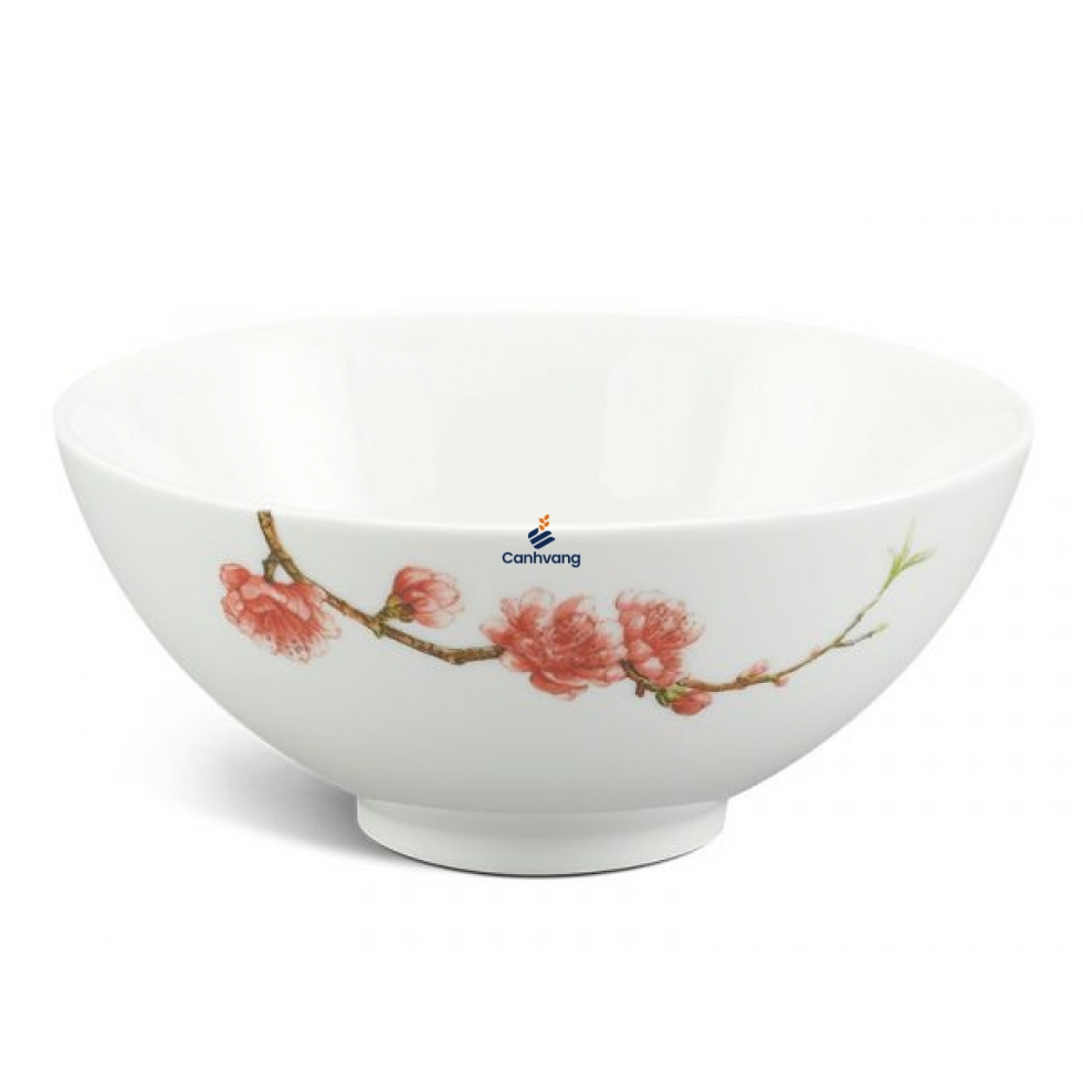 Tô trung 15 cm – Daisy IFP – Hồng Đào