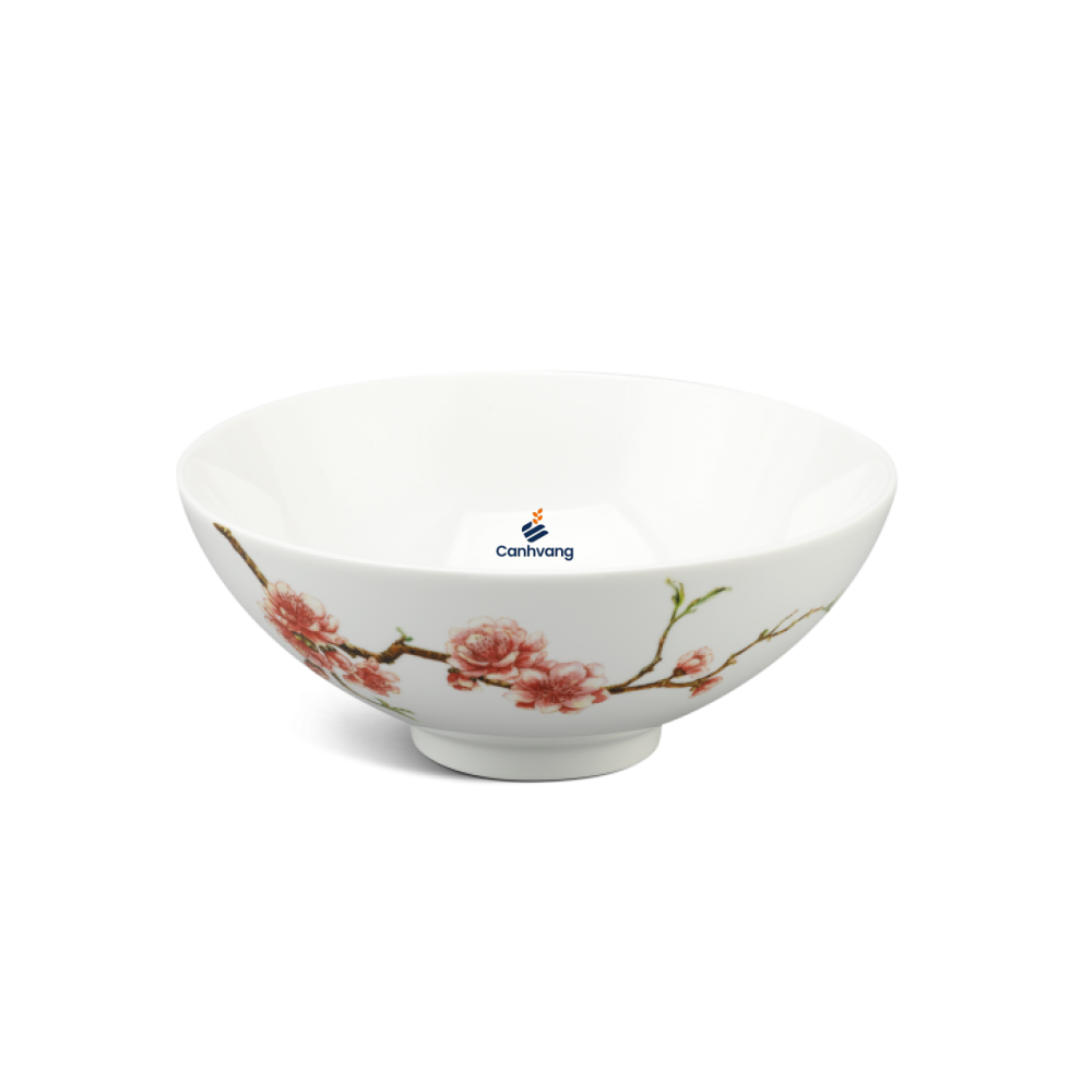 Tô Trung Minh Long Daisy IFP Hồng Đào 20cm